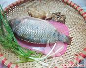 Cá rô - nguồn dinh dưỡng rất tốt