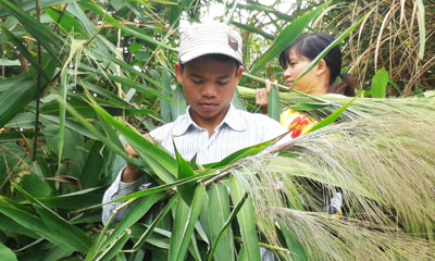 Đầu năm đi hái lộc rừng