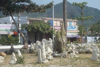 Cần ngăn chặn tình trạng buôn bán san hô