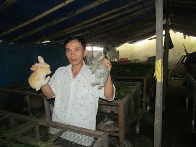 Nuôi thỏ đem lại nguồn thu nhập ổn định cho  gia đình anh Hải.