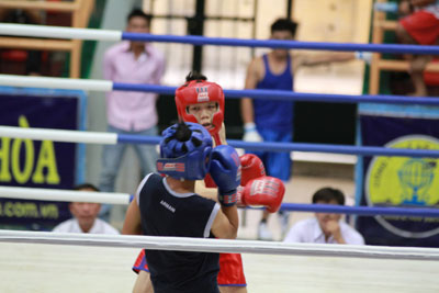 Các võ sĩ thi đấu tại giải vô địch các câu lạc bộ Boxing tỉnh.