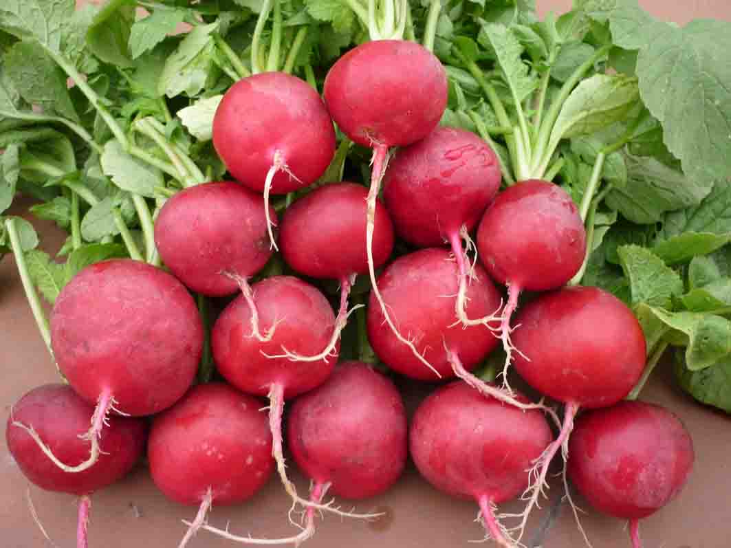 Những thực phẩm cải thiện tình trạng rụng tóc