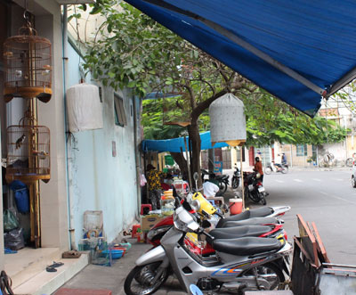 Cảnh giác với nạn trộm chim cảnh