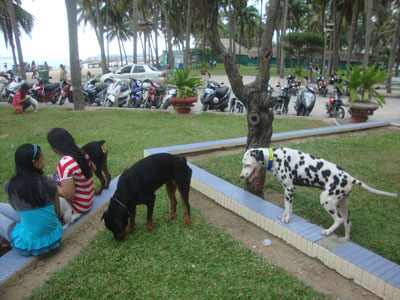 Cần thực hiện nghiêm nội quy công viên