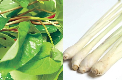 Chữa sởi cho bé bằng bài thuốc Đông y cực đơn giản