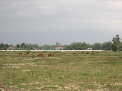 Công tác dồn điền, đổi thửa: Để người dân được hưởng lợi