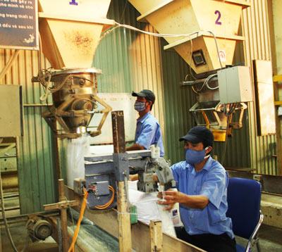 Đóng gói sản phẩm thức ăn chăn nuôi tại Công ty TNHH Một thành viên Thức ăn chăn nuôi Khatoco. Ảnh: N.T