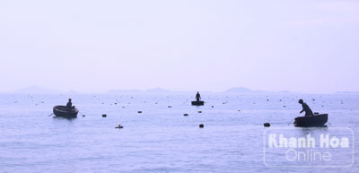 Khan hiếm tôm hùm giống