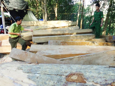 Bắt giữ 4 bè gỗ lậu trên sông Cái