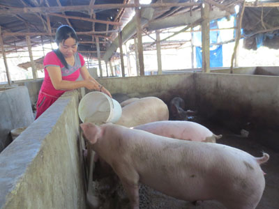 Vươn lên từ hai bàn tay trắng