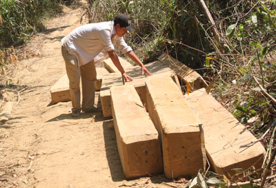 Huyện Khánh Vĩnh tổ chức truy quét lâm tặc