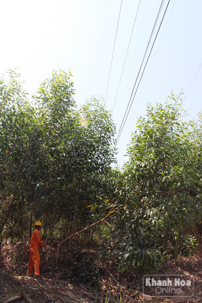 Những hiểm họa rình rập