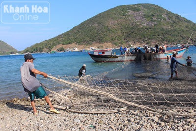 Phập phồng... lưới đăng