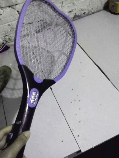 Khốn khổ vì muỗi!