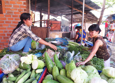 Từ năm 2008 đến 2013, Hội Liên hiệp Phụ nữ TP. Nha Trang đã tạo điều kiện cho hàng nghìn phụ nữ vay vốn, làm ăn hiệu quả. Qua đó góp phần đáng kể vào công tác xóa đói giảm nghèo ở địa phương.