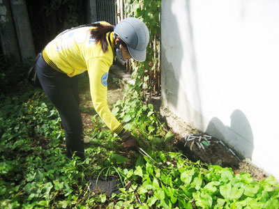 Cần sự hỗ trợ từ nhiều phía