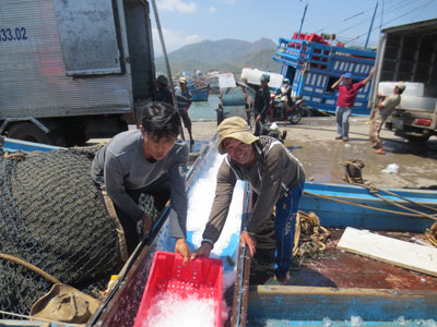 Chú trọng giải quyết việc làm cho người dân