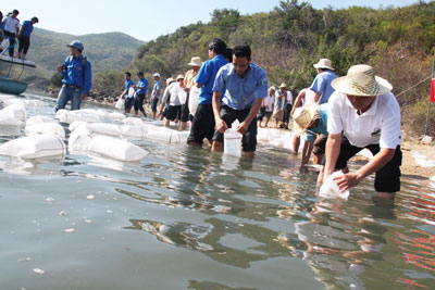 Thả hơn 620.000 con giống thủy sản tái tạo nguồn lợi ở đầm Nha Phu