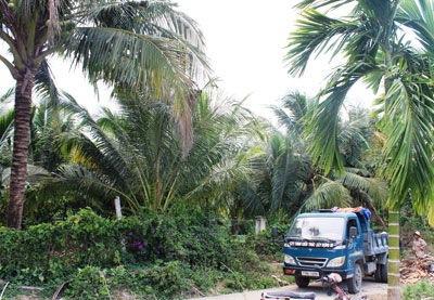 Bị kiện vì sử dụng... đất của mình