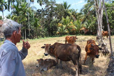 Không phải hộ nghèo, vẫn... hưởng chính sách