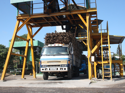 Kiểm tra hoạt động mua bán và xác định chất lượng mía nguyên liệu