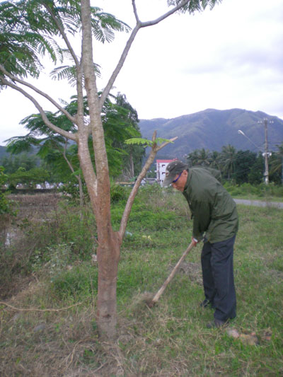 Hội viên Chi hội Người cao tuổi thôn Võ Cang chăm sóc cây.