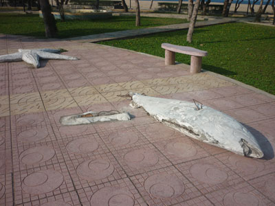 Mô hình sinh vật biển bị đập phá