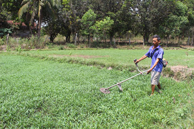 Chú trọng phát triển kinh tế tập thể