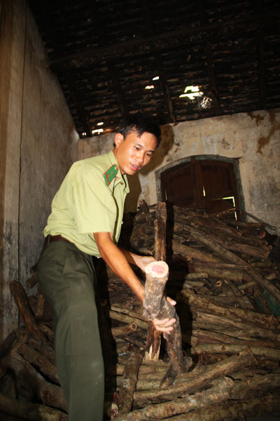 Ngăn chặn khai thác, vận chuyển trắc dây