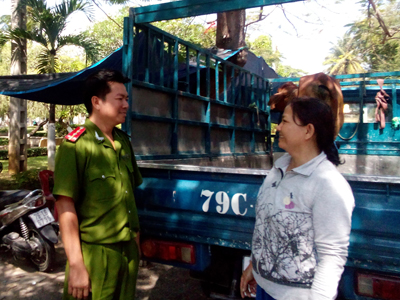 Thuê ô tô đi trộm bò