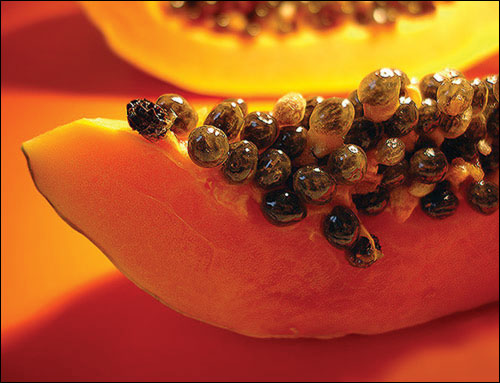 Đu đủ giúp tăng cường chức năng phổi