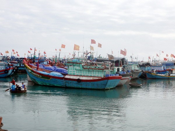 Nghiệp đoàn Nghề cá Việt Nam: Kêu gọi đoàn viên và ngư dân tiếp tục ra khơi bám biển (Ảnh: TTXVN).