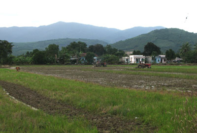 Cánh đồng mẫu lớn ở xã Diên Điền.