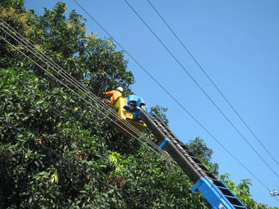 Công nhân Điện lực Vĩnh Nguyên cắt tỉa cành cây vi phạm an toàn hành lang lưới điện.
