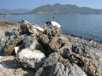 Phá hoại san hô ven bờ