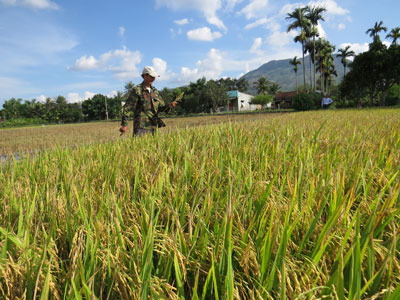 Còn nhiều khó khăn