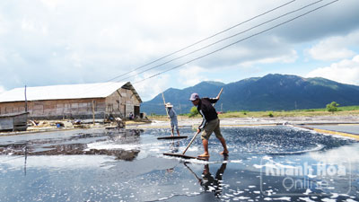 Vụ muối 2014: Lại điệp khúc được mùa... mất giá