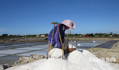 Thu hoạch muối trên nền đất.