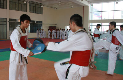 Taekwondo Việt Nam: Tương lai gần màu xám