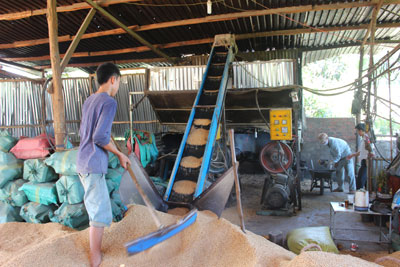 Tận dụng phụ phẩm trong sản xuất nông nghiệp, anh Nguyễn Văn Hùng (xã Ninh Thân, thị xã Ninh Hòa) đã dùng vỏ trấu để sản xuất ra than đốt với giá thành rẻ, góp phần bảo vệ môi trường.