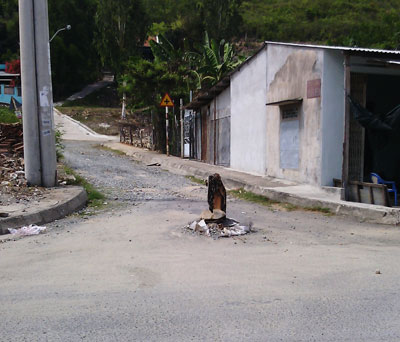 Bẫy giữa lòng đường