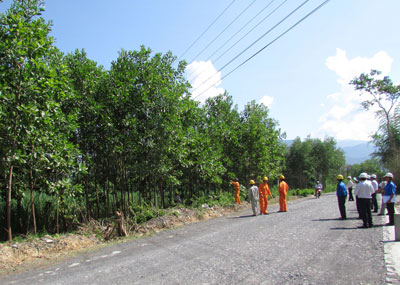   Cán bộ, công nhân Điện lực Diên Khánh - Khánh Vĩnh khảo sát để thực hiện chiến dịch bảo đảm an toàn lưới điện.