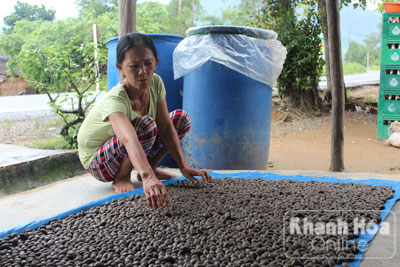 Tận diệt rừng ươi