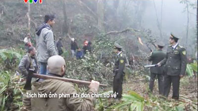 Phim về cuộc chiến chống lâm tặc trở lại sóng giờ vàng