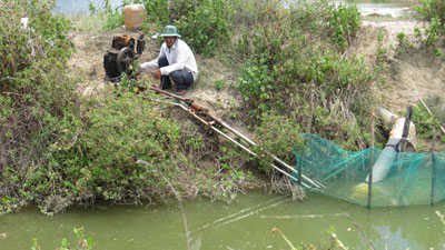 Trắng tay vì... tôm trắng