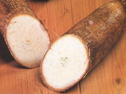 Mẹo loại bỏ chất độc khi chế biến thực phẩm