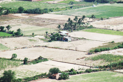 Hiện nay, xã Ninh Vân chỉ có gần 50 ha đất sản xuất nông nghiệp.