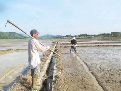 Thôn Đồng Bé - nơi xảy ra nhiều cuộc tranh chấp ruộng đất.