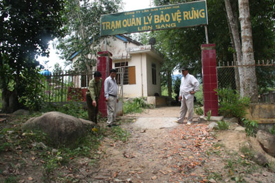 Cần xử lý mạnh tay