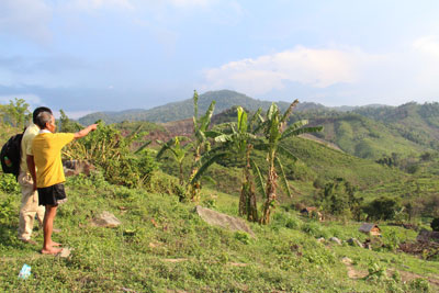 Ngăn chặn kịp thời nhiều vụ chiếm rừng